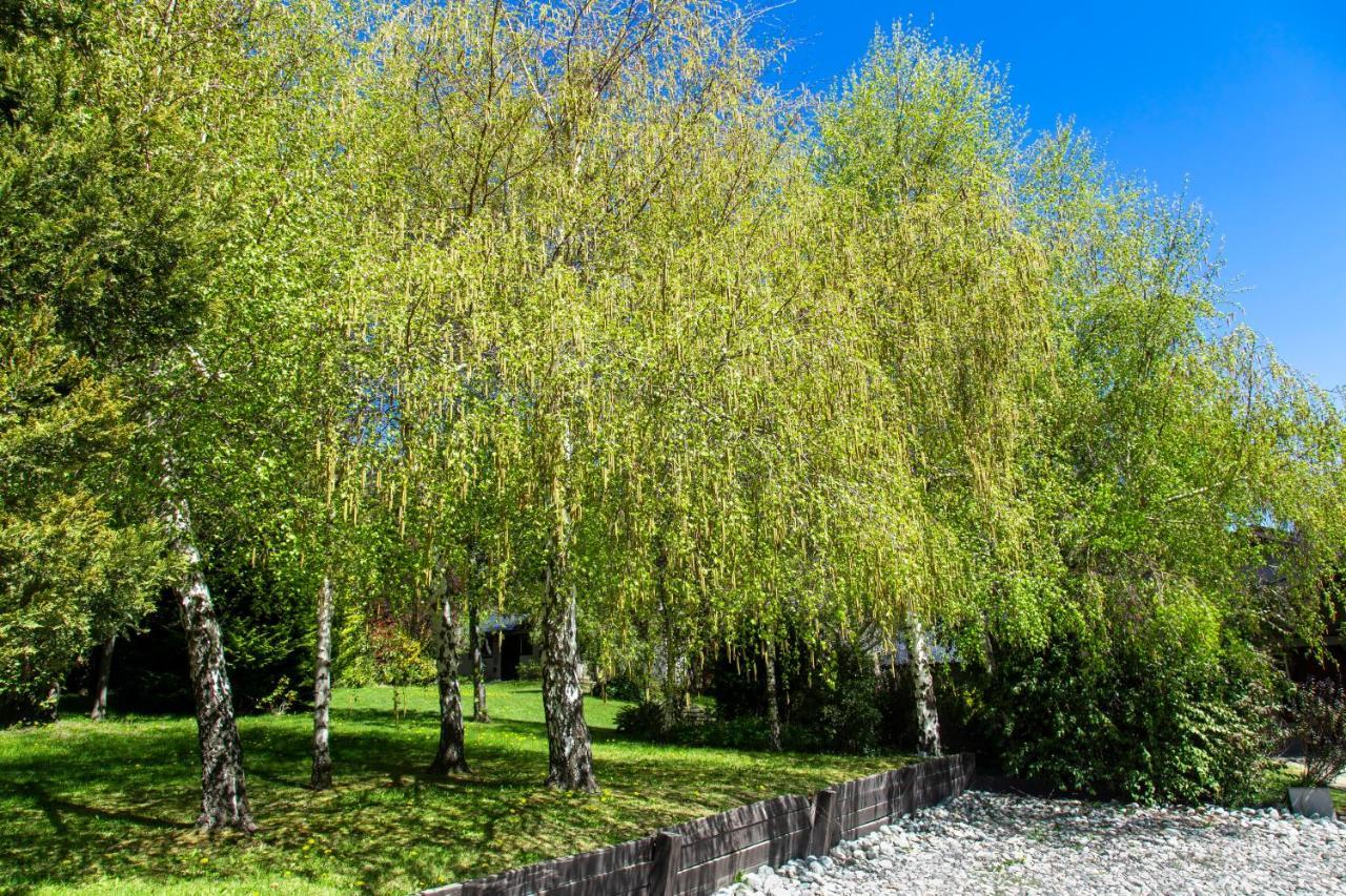 Torcazas San Carlos de Bariloche